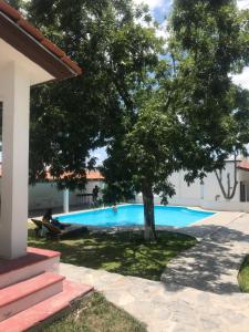 un arbre au milieu d'une piscine dans l'établissement La Ilusión Hotel Campestre y Balneario, à Parras de la Fuente