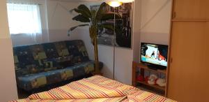 a bedroom with a bed and a tv and a plant at Ferienwohnung Spandau in Berlin