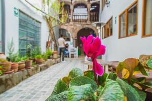 Hosté ubytování Tucan Hostel