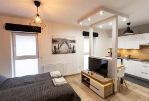 a bedroom with a bed and a tv and a kitchen at Tymon Apartament przy deptaku in Szczawno-Zdrój