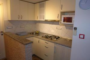 Kuchyň nebo kuchyňský kout v ubytování Apartment Marko Dunato