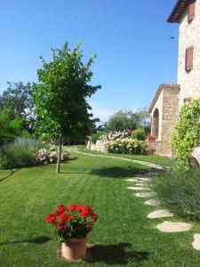 Agriturismo La Torraccia外面的花园