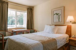 a hotel room with a bed and a window at Riverfront Inn Roseburg in Roseburg