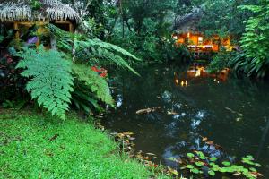 Vonkajšia záhrada v ubytovaní Hacienda La Isla Lodge