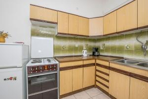Kuchyň nebo kuchyňský kout v ubytování Apartments Mira