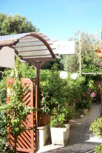 a garden with an umbrella and potted plants at Hotel Signorini in Castiglioncello