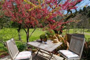 陶波的住宿－Hare's Rest，一张野餐桌,配有一瓶葡萄酒和两把椅子