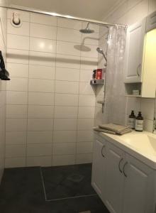 ein Bad mit einer Dusche, einem Waschbecken und einer Theke in der Unterkunft Notodden Sentrum Apartment NO 2 in Notodden