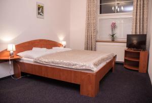 1 dormitorio con 1 cama grande y TV en Penzion Axa, en Hradec Králové