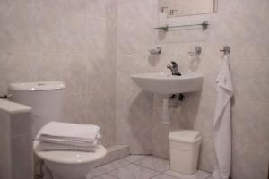a white bathroom with a sink and a toilet at Penzion Axa in Hradec Králové
