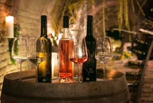 Drykkir á Winzerhof Küssler - Weinviertel