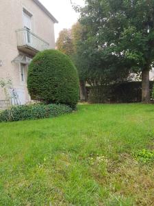 Une brousse dans l'herbe devant une maison dans l'établissement Charmant Studio proche Faculté CHU prix imbattable, à Dijon