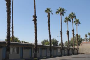 una fila de palmeras frente a un edificio en Indio Holiday Motel, en Indio