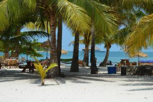 eine Gruppe von Palmen am Strand mit dem Meer in der Unterkunft Palm Beach Bungalow Resort in Koh Rong