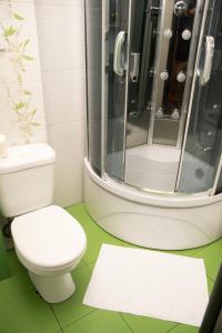 a bathroom with a toilet and a shower at Апартаменты Мичурина 21 in Kemerovo