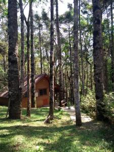 une maison au milieu d'une forêt d'arbres dans l'établissement Pousada ao nascer do sol, à Gonçalves