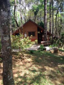 una piccola cabina nel bosco con un albero di Pousada ao nascer do sol a Gonçalves