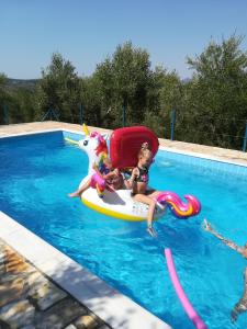 two children on a unicorn raft in a swimming pool at Hakuna Matata Holidays 'Agalia' with pool in Greek Olive Grove in Methoni