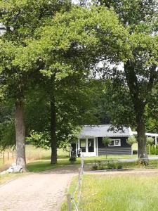 a house with trees in front of a dirt road at B&B Stripsein in Wijnjewoude