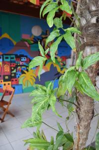 Fotografija v galeriji nastanitve Vidigal Varandas Hostel v mestu Rio de Janeiro