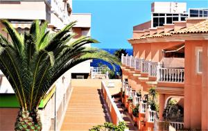 コスタ・デル・シレンチオにあるVictoria Family Apartman Tenerifeの椰子の木