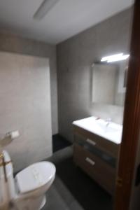 a bathroom with a white toilet and a sink at hostal trevol in Torelló