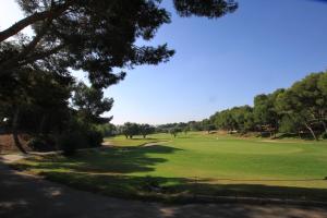 Golf v apartmánu nebo okolí