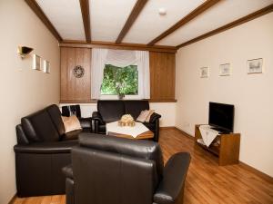 sala de estar con muebles de cuero y TV en Gäste und Ferienhof Maas, en Dulmen