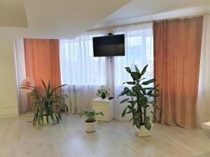 a living room with potted plants and a flat screen tv at MEGAPOLIS улица Большая Манежная 13-В-77 in Voronezh
