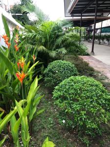 Zahrada ubytování Phromsuk Hotel Ayutthaya + 20 fotografií