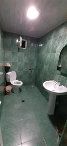 luiza في باتومي: حمام أخضر مع مرحاض ومغسلة
