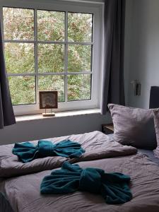 a bed with blue sheets on it with a window at Strandperle - Ihre Ferienwohnung in Schönhagen