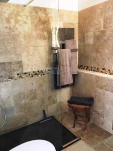 a bathroom with a shower with a toilet and a stool at French Riviera Condo 4 Rent in Marina Baie des Anges in Villeneuve-Loubet +12 photos