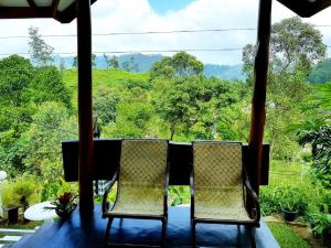 Landskap semula jadi dekat dengan rumah tamu ini