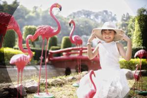 a young girl sitting in front of pink flamingos at Chill chill farm resort in Phetchabun