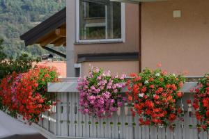 Zahrada ubytování Hotel Dolomiti