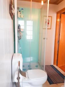 uma casa de banho com um WC e uma cabina de duche em vidro. em Doce Lar em Manteigas