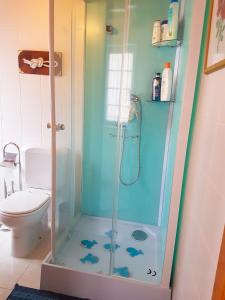 een badkamer met een douche en een toilet bij Doce Lar in Manteigas