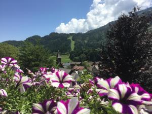 阿諾爾德施泰因的住宿－Ferienhaus Kramser，田野里一束紫白色的花