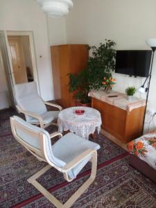 ein Wohnzimmer mit 2 Stühlen und einem Tisch in der Unterkunft apartricanova in Prag