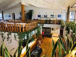 Hotel Ushuaia في أوشوايا: غرفة كبيرة مع نباتات الفخار وشخص في الخلفية