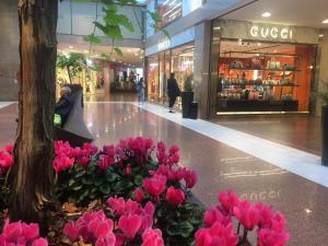 a shopping mall with pink flowers in the middle at B&B Galleria Cavour in Bologna