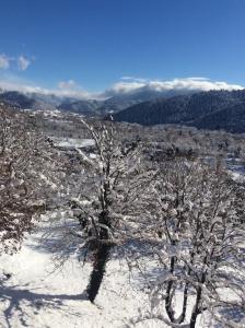 Príroda v okolí penziónu