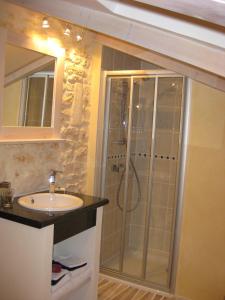 Chambres d'Hôtes La Maline في Trizay: حمام مع دش ومغسلة ومرآة