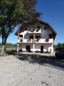 una casa bianca con un albero davanti di Vila Tadi a Avrig