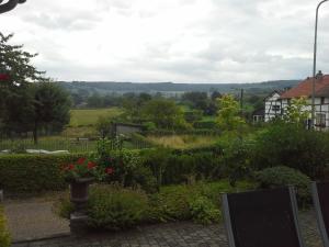 vistas a un jardín con flores y arbustos en Huis in de natuur, en Epen