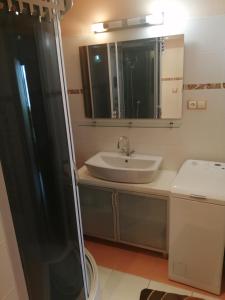 een badkamer met een wastafel, een spiegel en een douche bij Byt vo Fiľakove in Fiľakovo