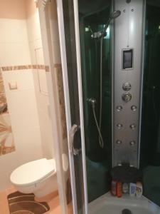 y baño con ducha, aseo y lavamanos. en Byt vo Fiľakove, en Fiľakovo
