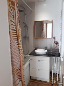 a bathroom with a sink and a shower and a mirror at Les Belles Terrasses Dieppe ,3 appartements , LE VEGETAL de 1 à 8 personnes , LE TROPICAL de 1 à 6 personnes , LE FLORAL avec TERRASSE de 1 à 3 personnes , quartier calme au stationnement gratuit à coté de l'avenue verte in Dieppe