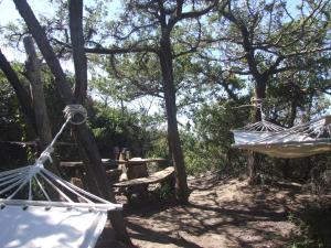 Gallery image of Vacanze Toscane In The Country - Villa Agrifogli in Sassetta